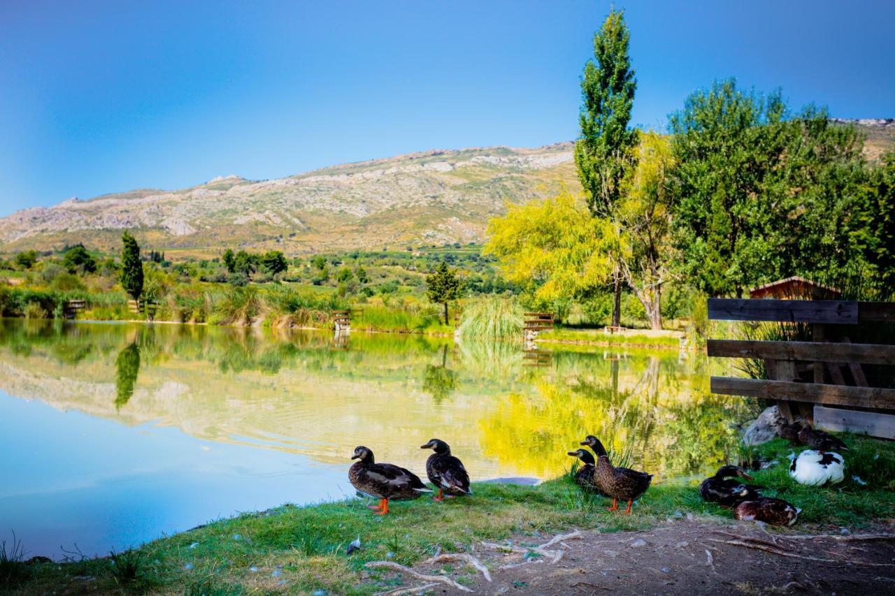 Camping La Peiriere Tuchan Kültér fotó