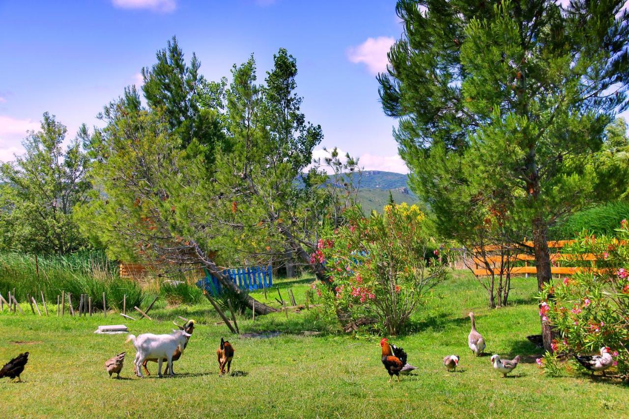 Camping La Peiriere Tuchan Kültér fotó
